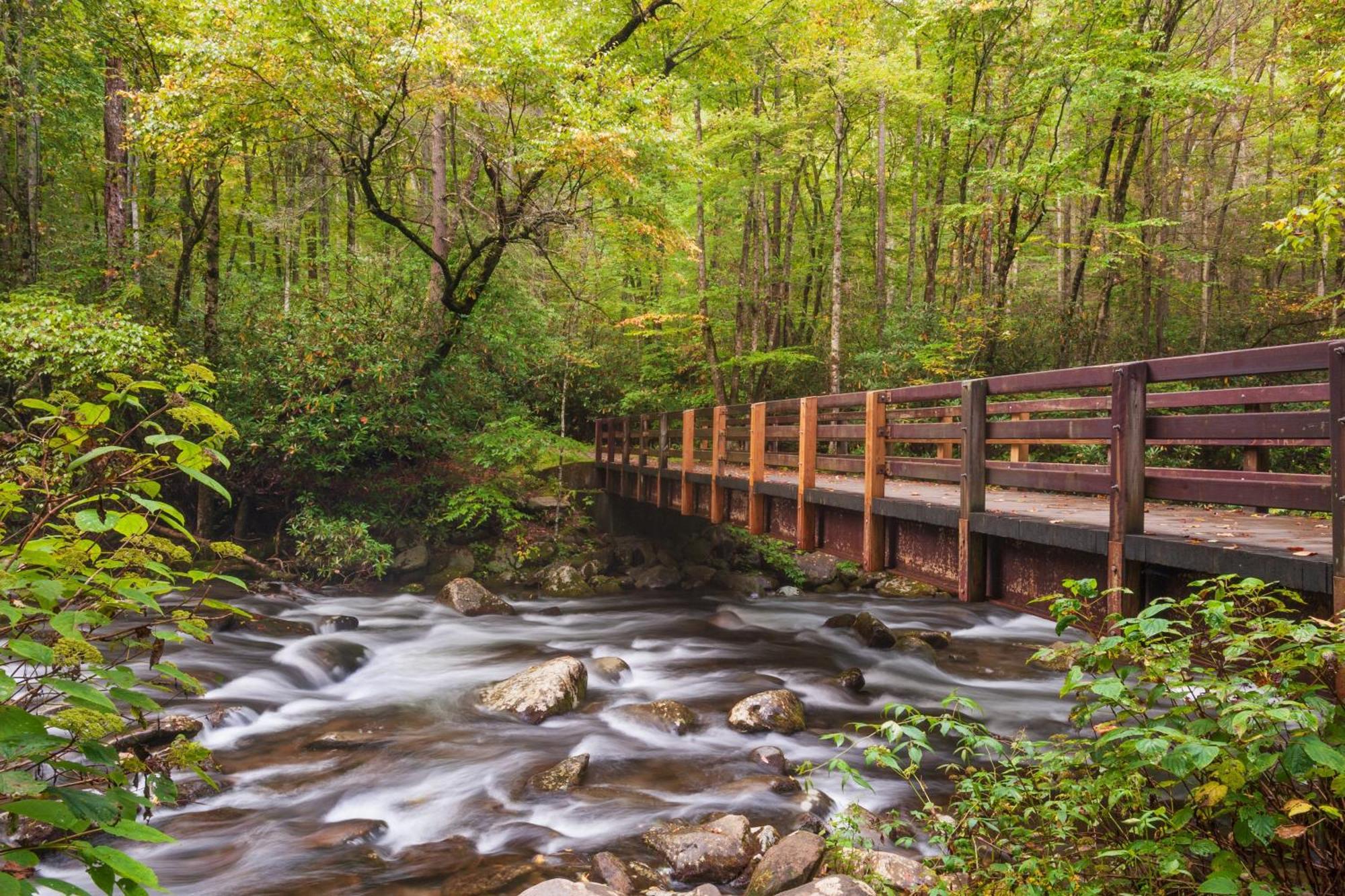 Mountain Lake Lodge, Hot Tub, Theater Room, 1089 Free Tickets Each Paid Day, Dollywood And More Sevierville Kültér fotó